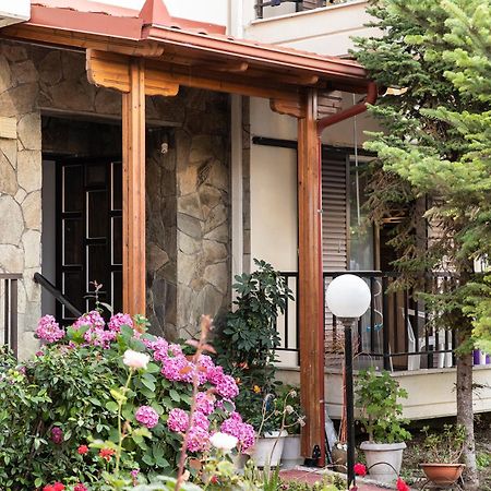 Manos Kritikakis Apartments Πλαταμώνας Εξωτερικό φωτογραφία