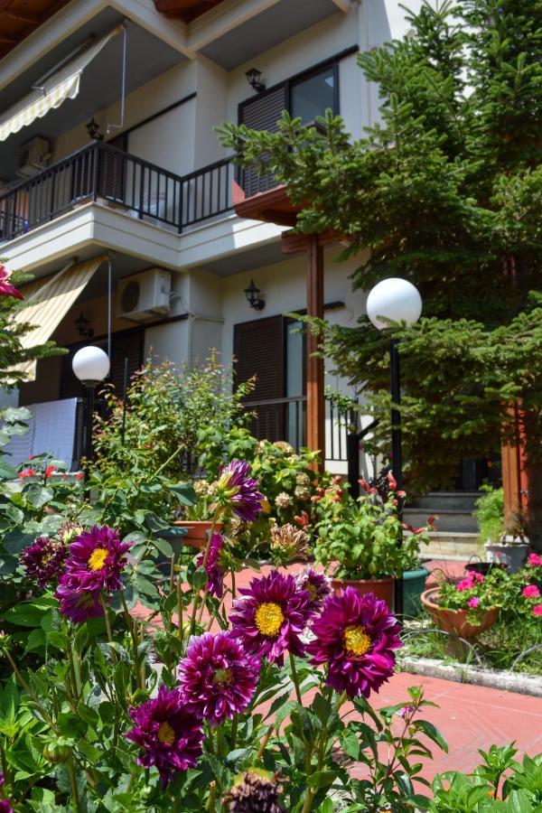 Manos Kritikakis Apartments Πλαταμώνας Εξωτερικό φωτογραφία